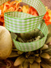 Light Green Gingham Wire Edged Ribbon 20