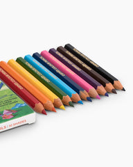Camlin  Colour  Pencils Pack of 10 Shade
