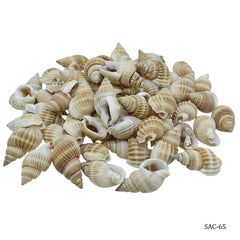 Shells Color Vali Kopparta 100gm SAC-65