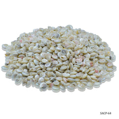 Shells Colour Pabukannu Small 100gm SACP-64