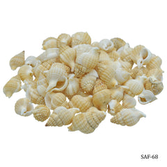 Shells Fampan Big Colour Malipal 80gm SAF-68