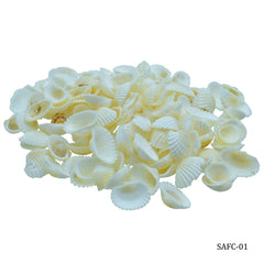 Shells Foreign Chippe 100gm SAFC-01