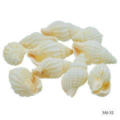 Shells Jasmine 10pcs SAJ-32