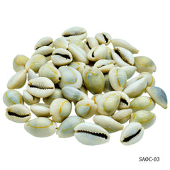 Shells Ordinary Cowdy 100gm SAOC-03