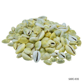 Shells Ordinary Cowdy Yellow Small 50gm SAYC-03S