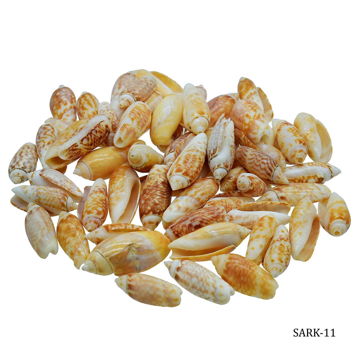 Shells Red Kovanji Small 100gm SARK-11