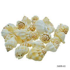 Shells Small Nellikai 50gm SASN-41