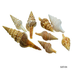 Shells Thirukani 50gm SAT-04