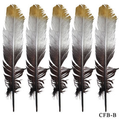 Feather Artificial Big Colour+GS 5pcs CFB-B