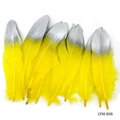 Feather Artificial Medium Colour&Sil 10pcs CFM-BSR