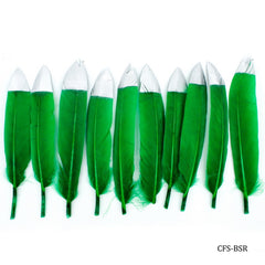 Feather Artificial Small Colour&Silv 10pcs CFS-BSR