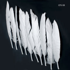 Feather Artificial Small Silver 10pcs CFS-SR