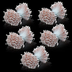 Artificial Flower Polons Pack Of 5 Bold Light Pink AFP2-PK