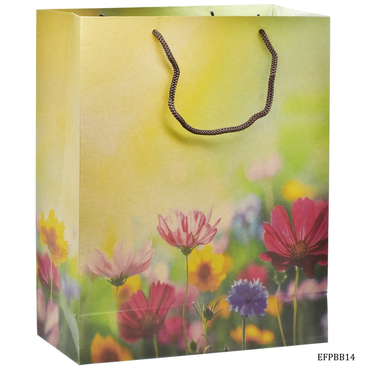 Eco Friendly Paper Bag Big 14.3X10.7 Flower EFPBB14