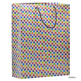 Eco Friendly Paper Bag Big 14.3X10.7 Polka Dot EFPBB11