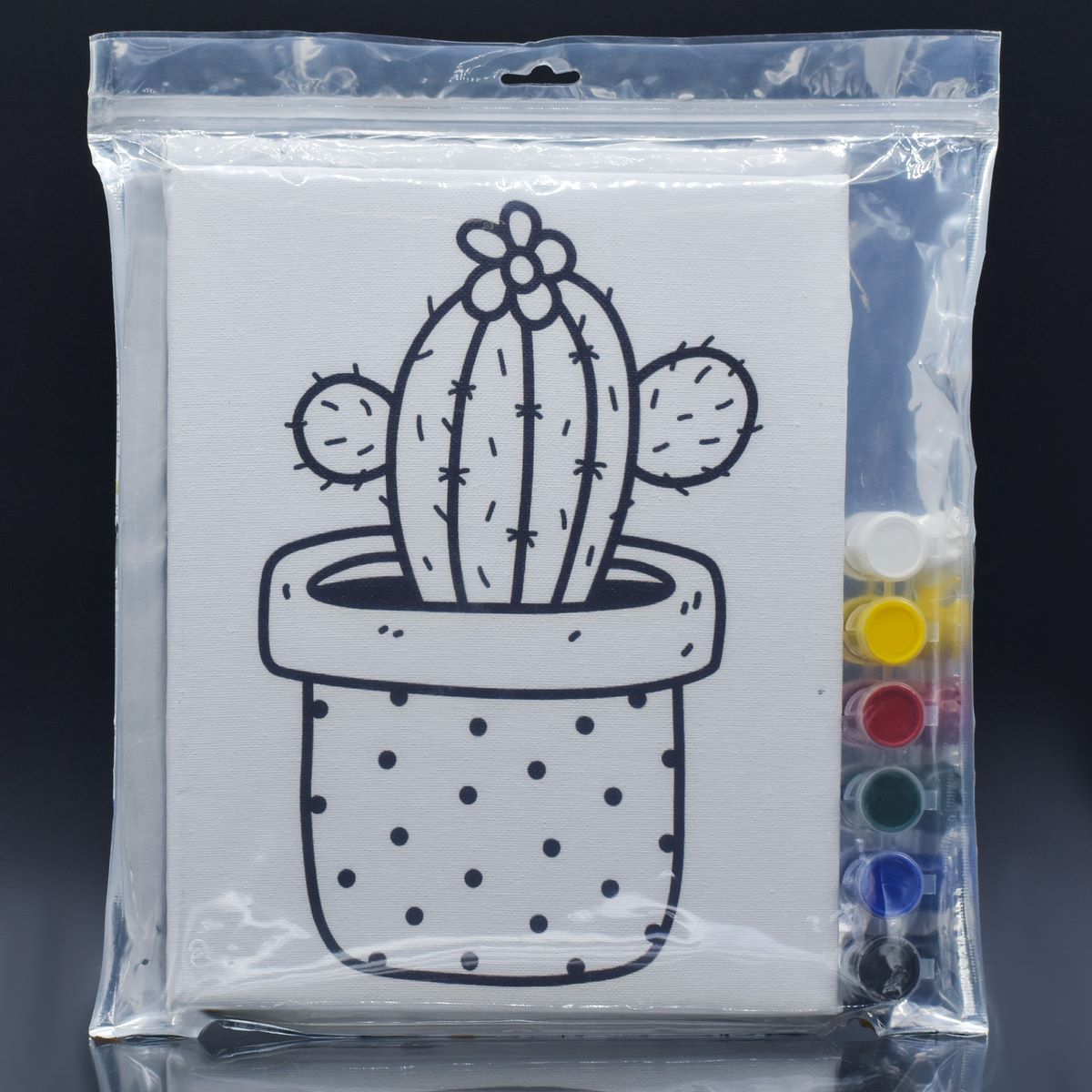 Stretched Canvas With Print Cactus 8X10 Scw810-1