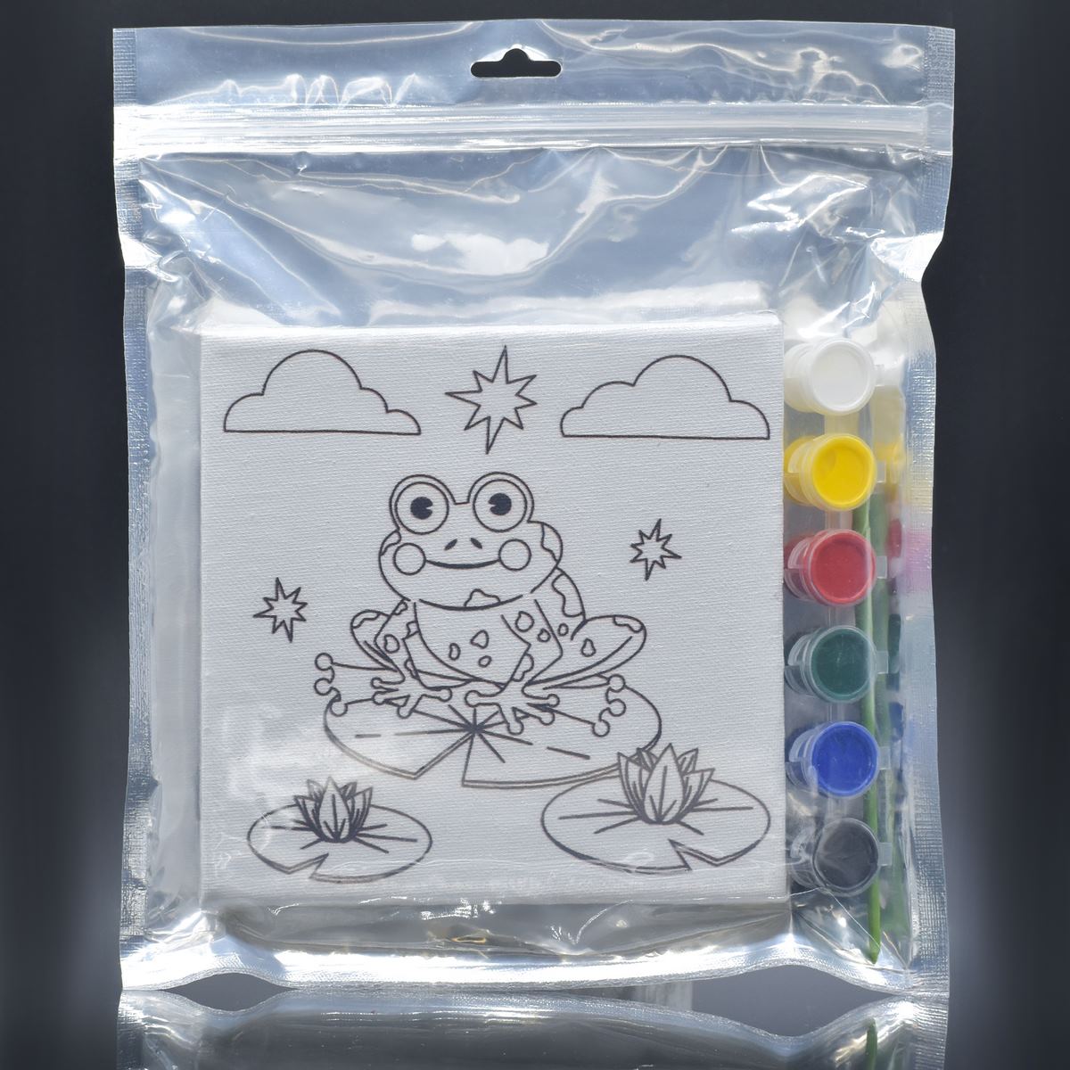 Stretched Canvas With Print Frog 6X6 Scwp66-6