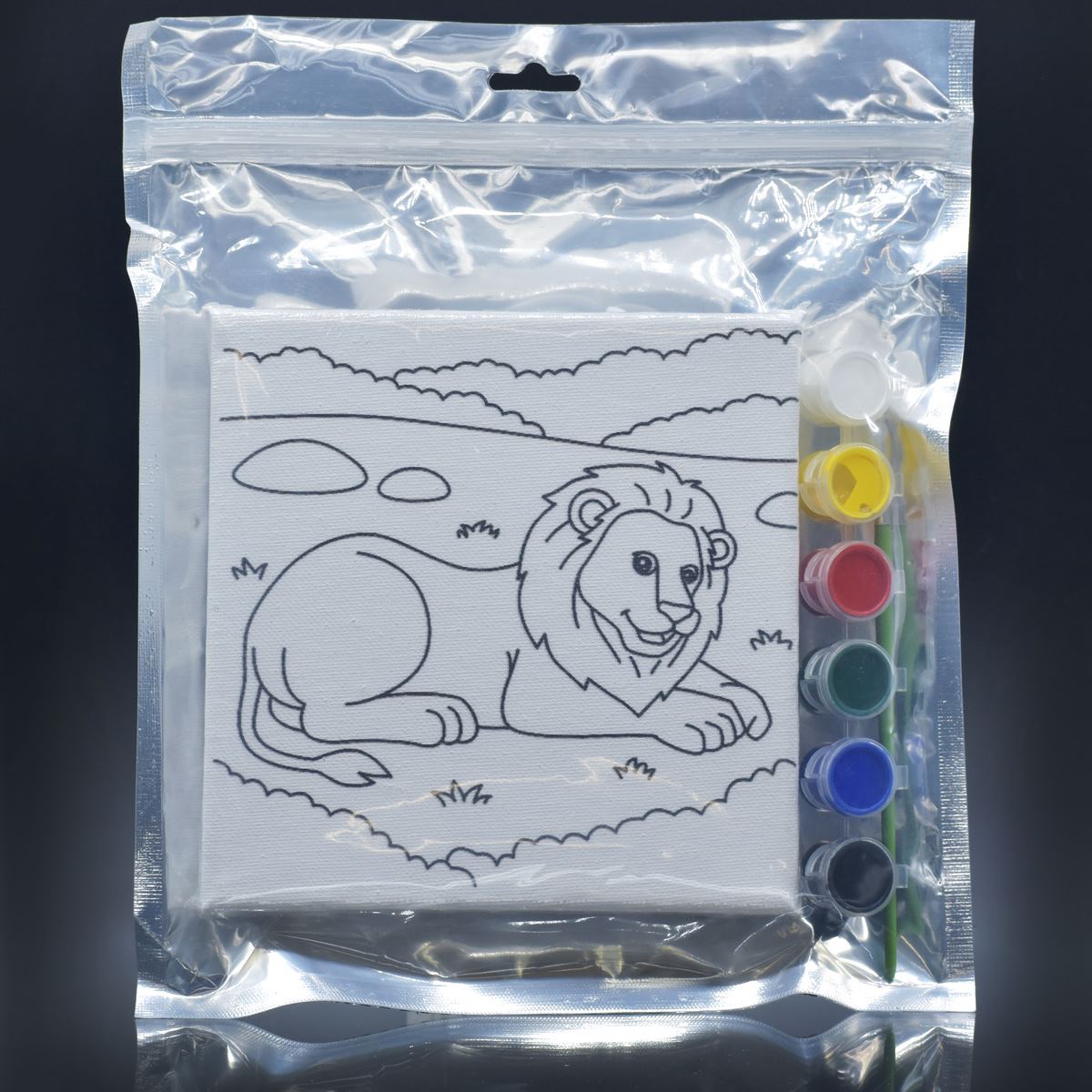 Stretched Canvas With Print Lion 6X6 Scwp66-4