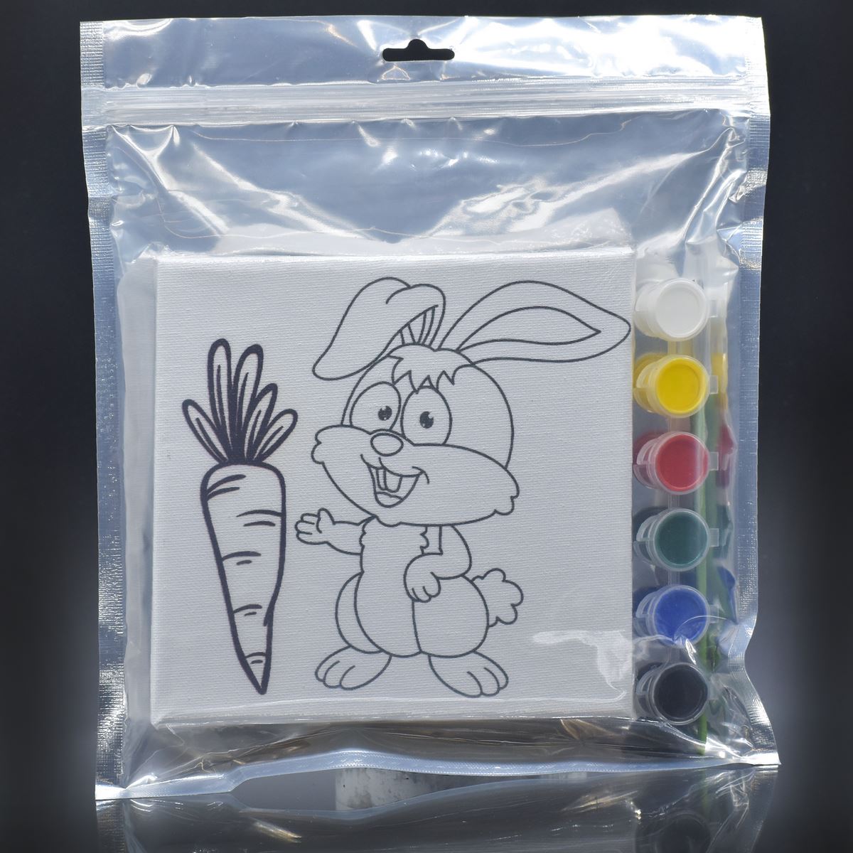 Stretched Canvas With Print Rabbit 6X6 Scwp66-9