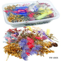 Dried Flower Box 14 Design YW-1BOX