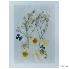 Dried Flower Design 12 Pcs YWFL-6