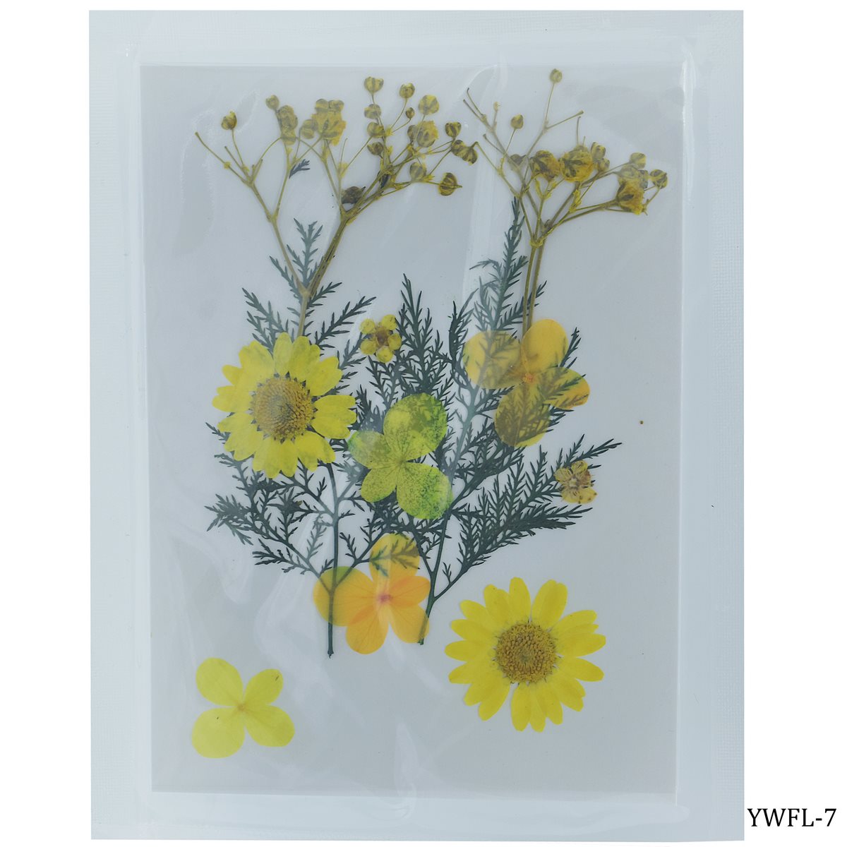 Dried Flower Design 12 Pcs YWFL-7