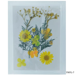 Dried Flower Design 12 Pcs YWFL-7