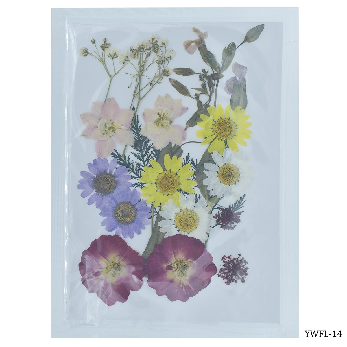 Dried Flower Design 18 Pcs YWFL-14