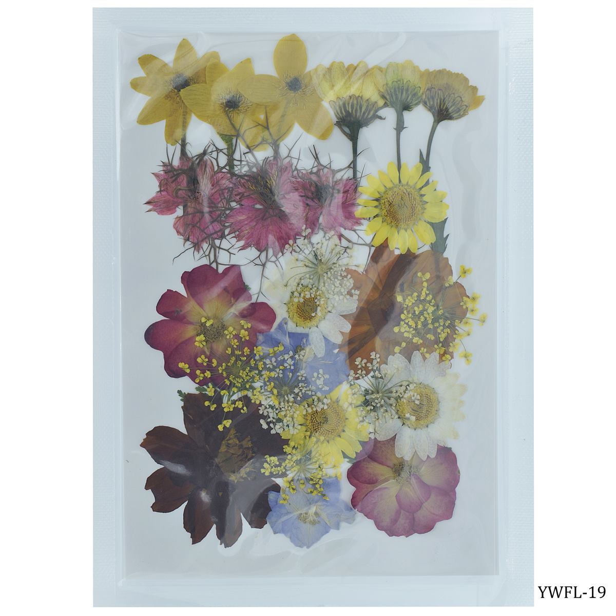Dried Flower Design 28 Pcs YWFL-19