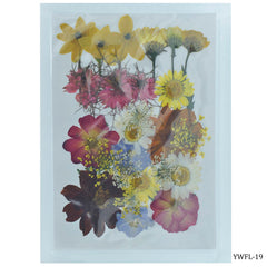 Dried Flower Design 28 Pcs YWFL-19