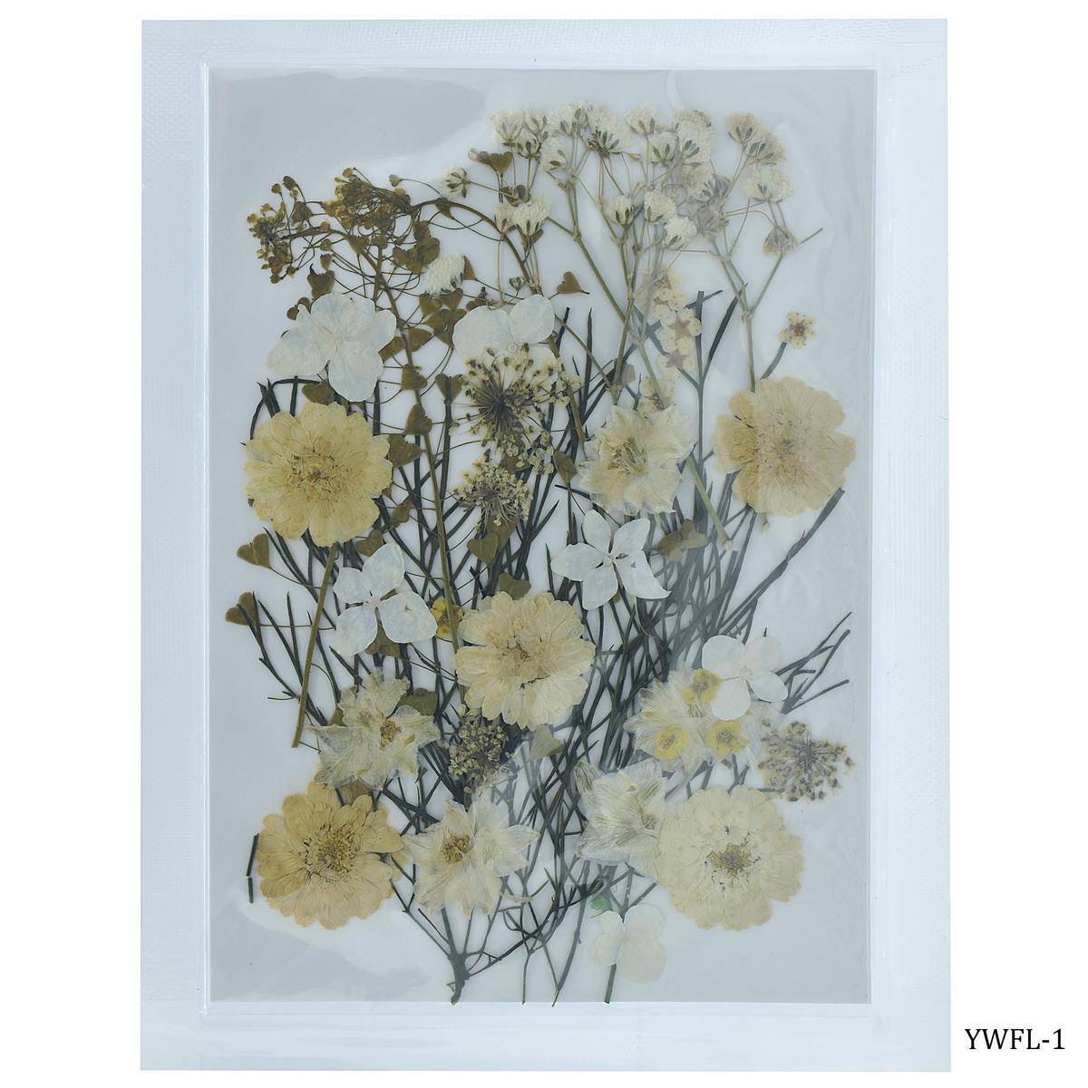Dried Flower Design 40 Pcs YWFL-1