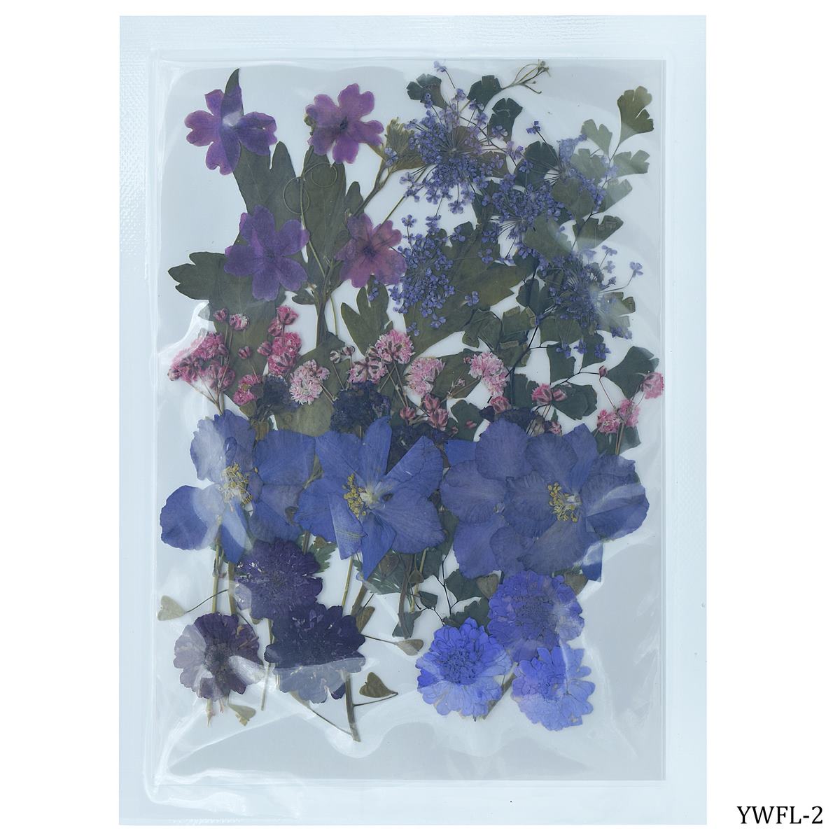 Dried Flower Design 40 Pcs YWFL-2