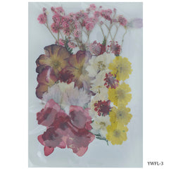 Dried Flower Design 40 Pcs YWFL-3