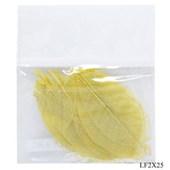 Dried Veins Leaf LF2X25