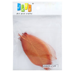 Dried Veins Leaf LF4X25