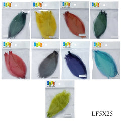 Dried Veins Leaf LF5X25