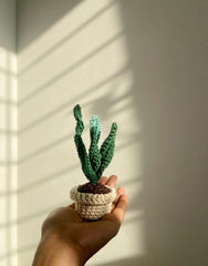 crochet plant