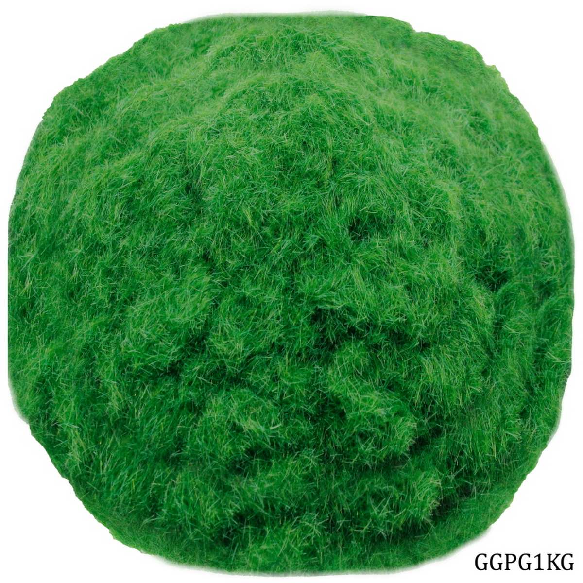 Garden Grass Powder Green Shade 1Kg Pkd GGPG1KG
