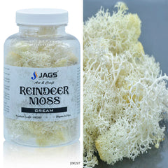Jags Reindeer Moss 20 Grms Cream JIM207