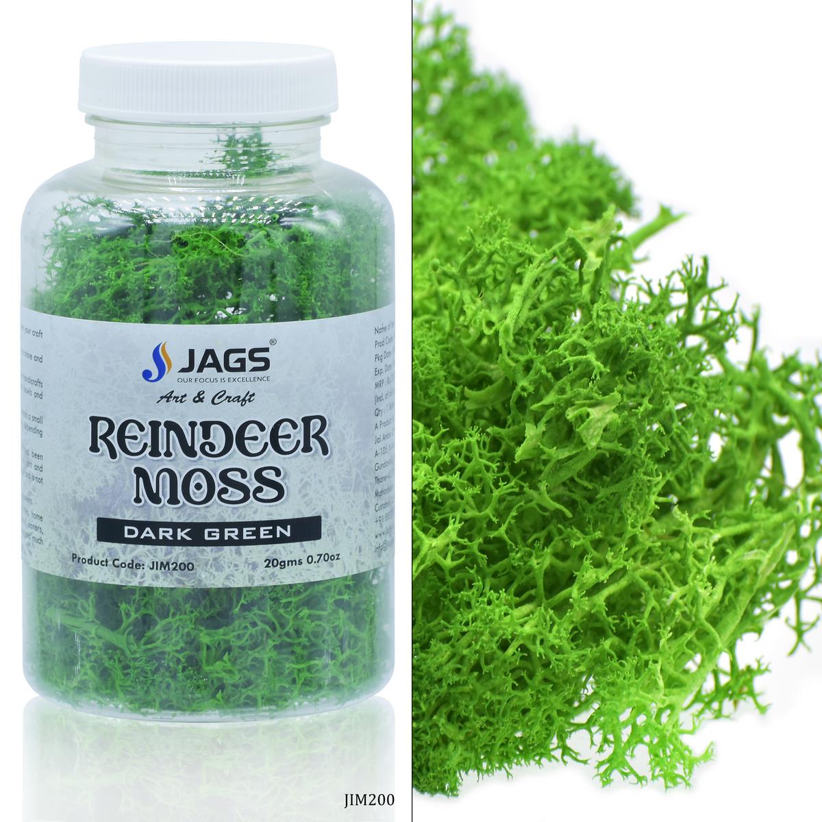 Jags Reindeer Moss 20 Grms Dark Greeen JIM200