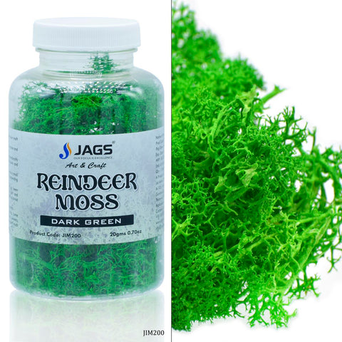 Jags Reindeer Moss 20 Grms Dark Greeen JIM200