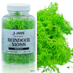 Jags Reindeer Moss 20 Grms Green JIM201