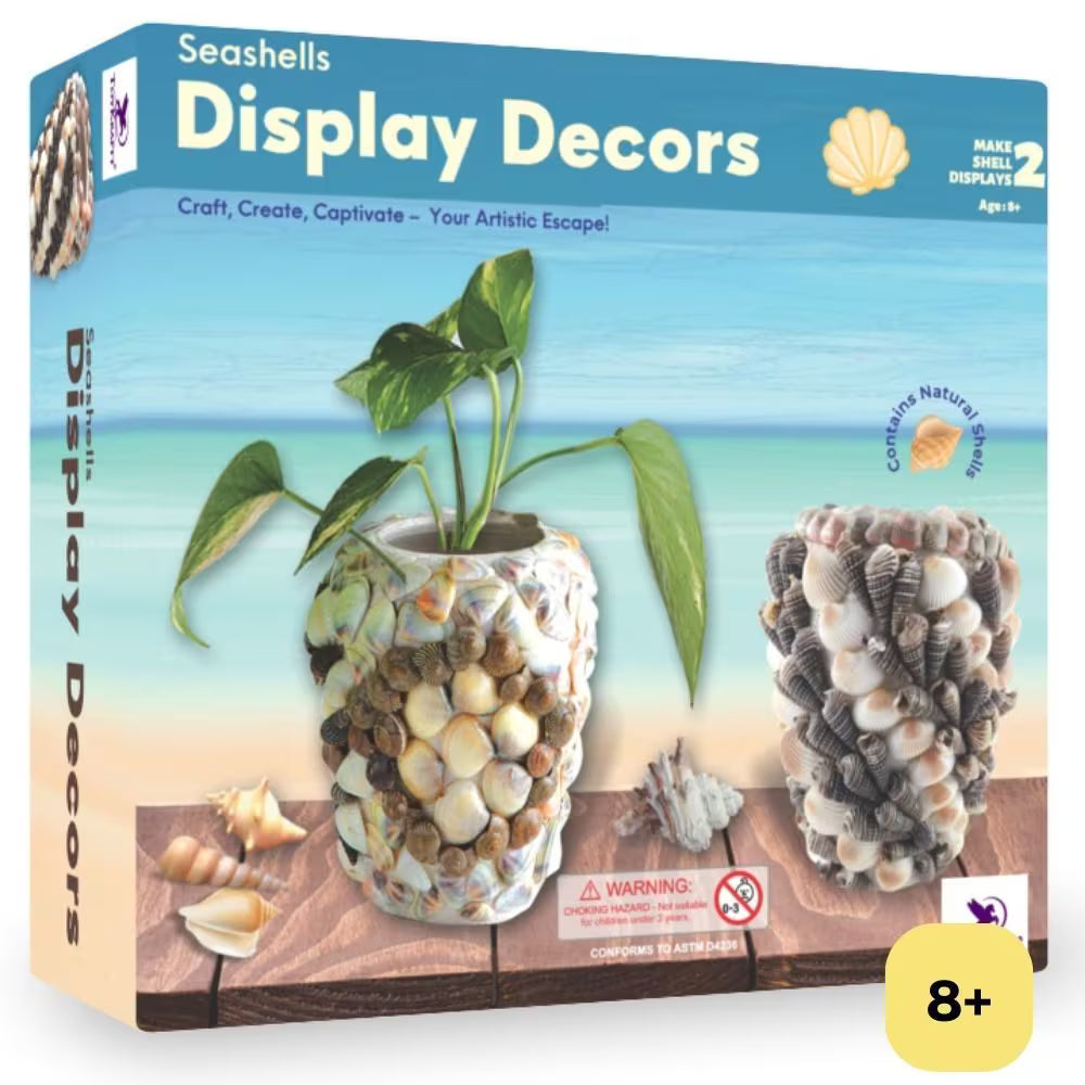Seashells Display Decors - DIY Seashell Craft Activity Kit for Kids Aged 7 Years to Adults