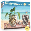Seashells Display Decors - DIY Seashell Craft Activity Kit for Kids Aged 7 Years to Adults