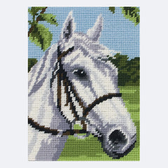Anchor Starter Tapestry Kit - Horse